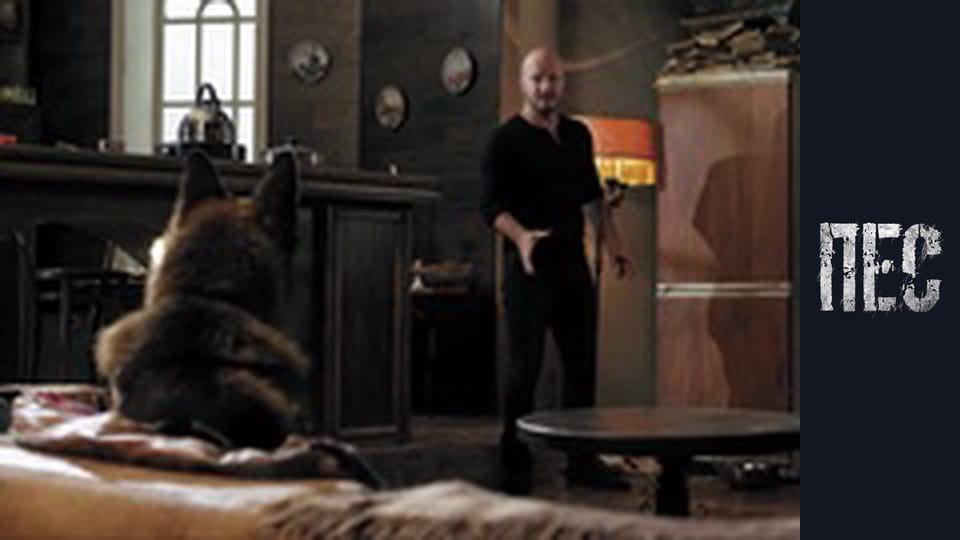 Dog, Season 4, Episode 17