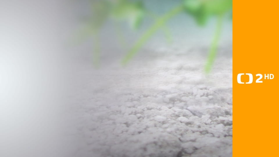 Nedej se - Co s jesenickou kozou?