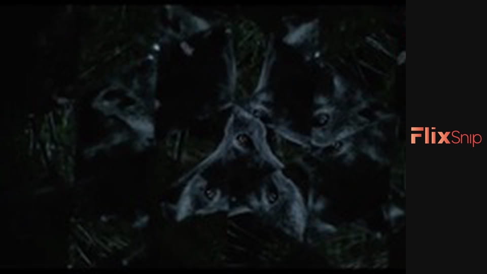 Досконалий удар