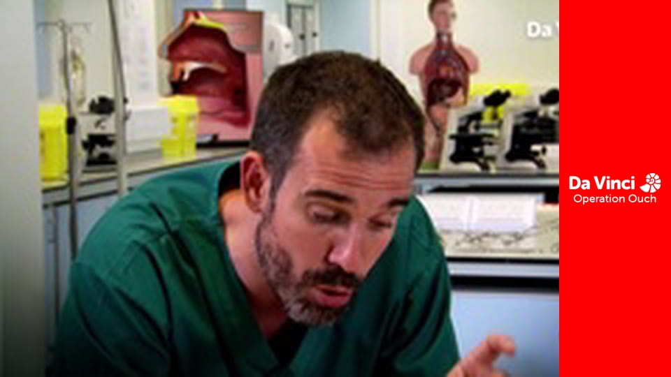 Ойтастика! - Вуха