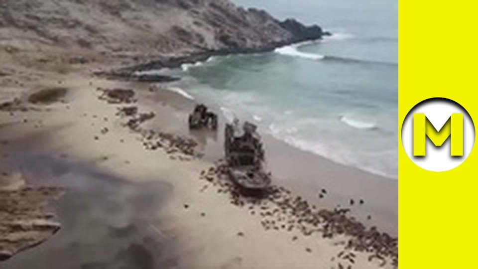 Max TV - сезон 1 - серія 120