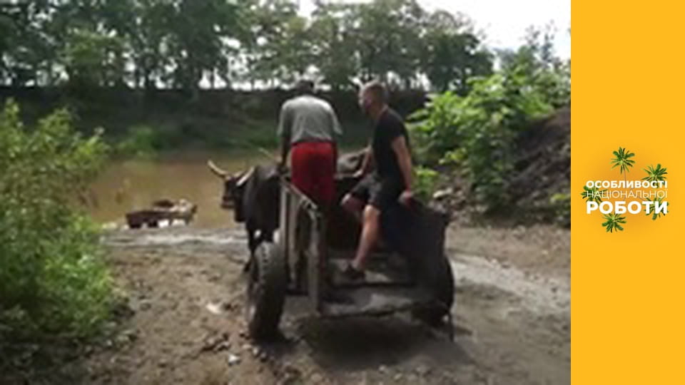 Особенности национальной работы, Сезон 4, Выпуск 4