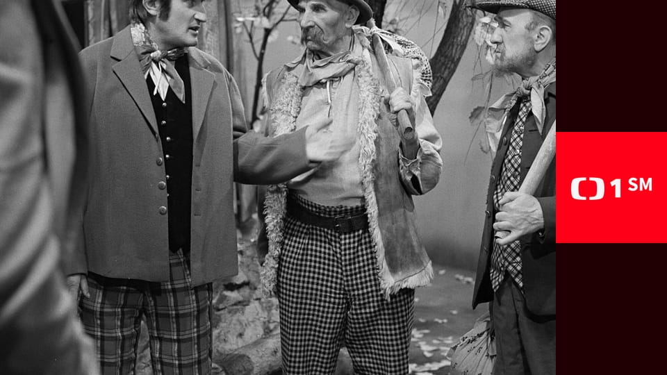 Nejsem chmýrko na bodláku