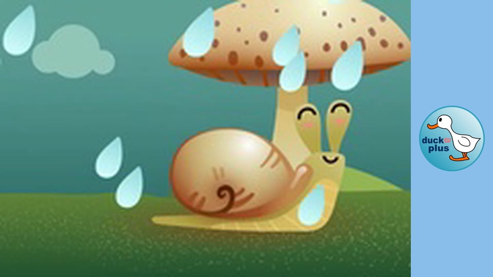 Home Sweet Home - Snail