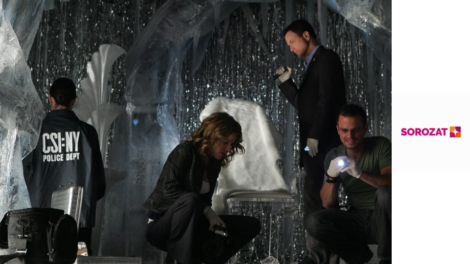 CSI: New York-i helyszínelők S6E5 - Harci sebek