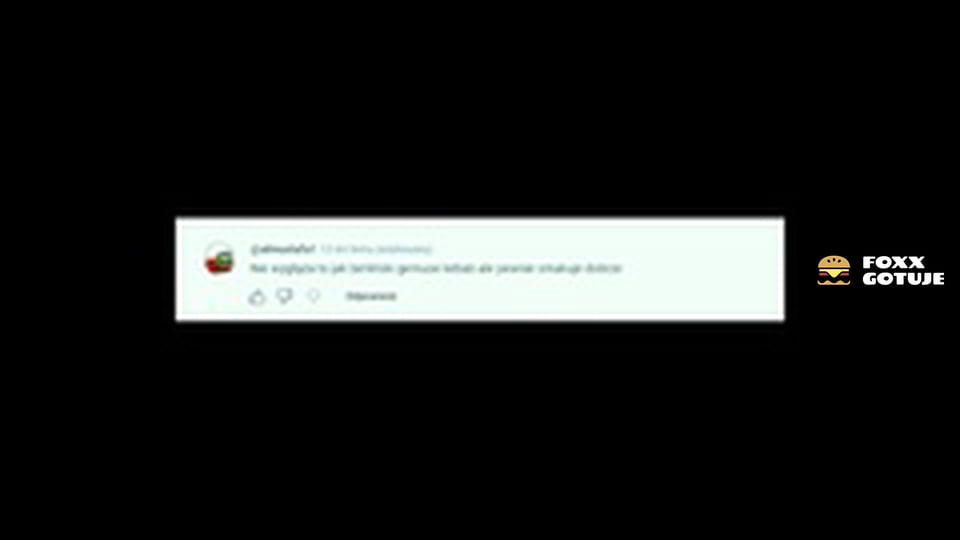 POLECIAŁEM DO BERLINA BY DOPRACOWAĆ MOJEGO KEBABA - Gemuse