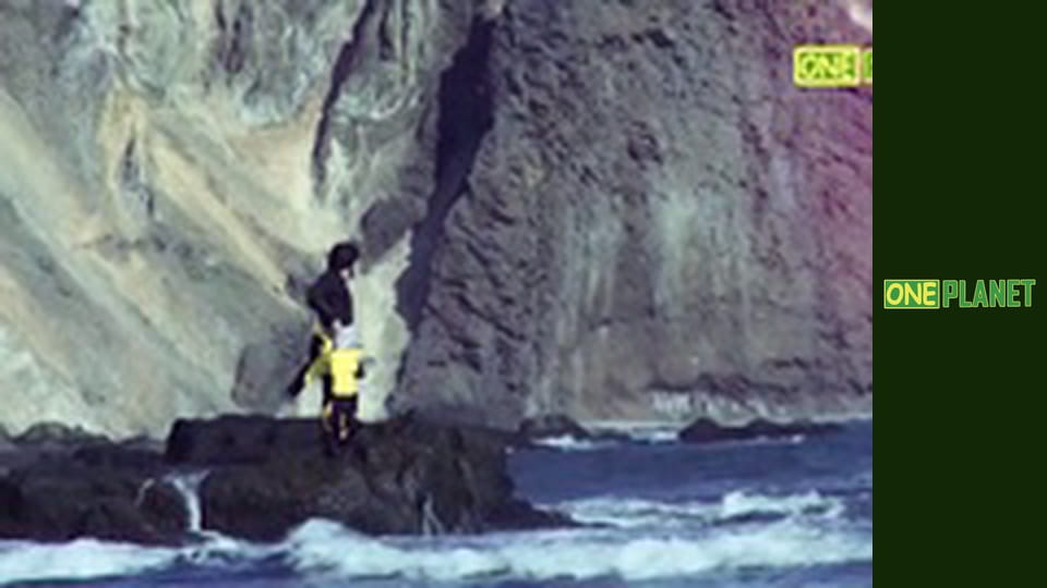 Экстрим для чайников, 11 эп.