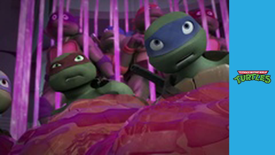 Teenage Mutant Ninja Turtles Сезон 5 Эпизод 13