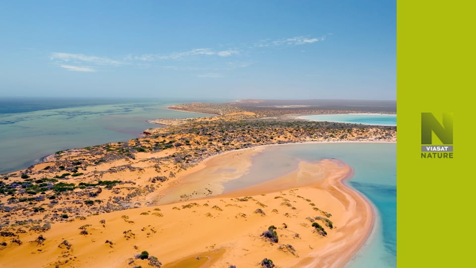 Глибоке занурення в Австралію S1E2 - Прохолодний Південь