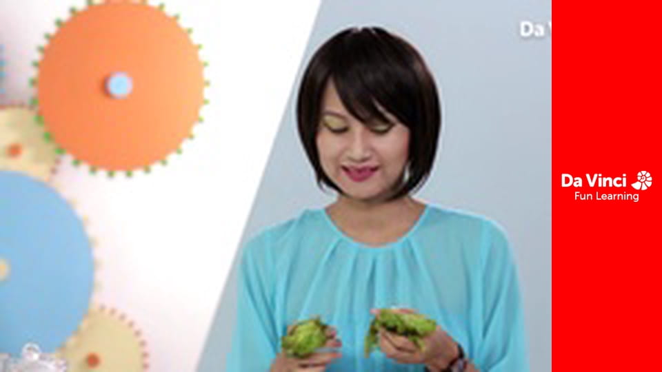 Мастерская знаний - Экологическая наука и переработка отходов