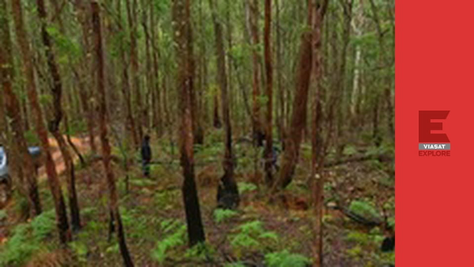 Австралійські шукачі золота S7E6