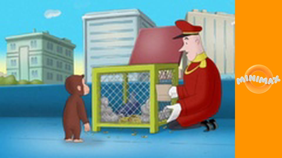 Zvědavý George S13E9 - Samé plasty!, Schovej se a najdi ovci