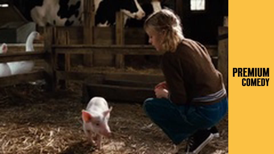 Павутиння Шарлотти