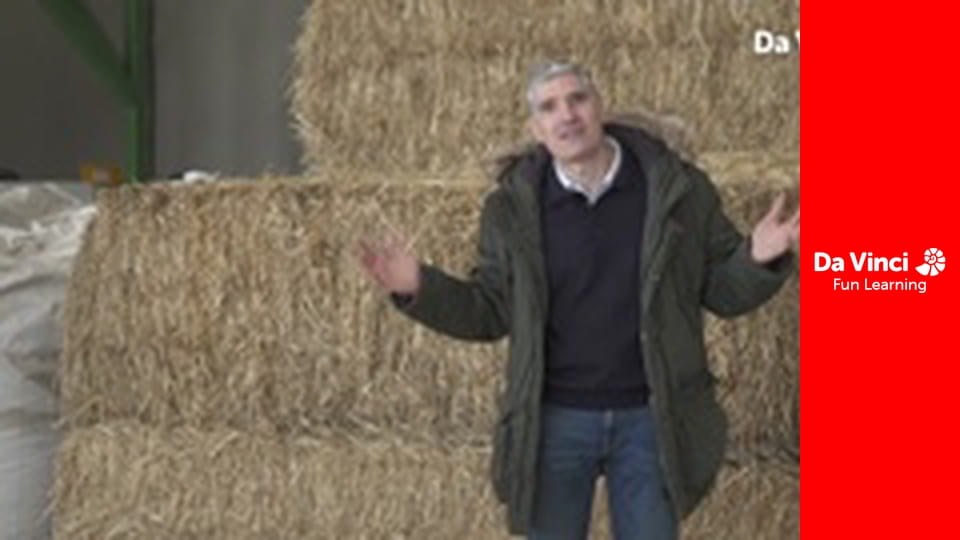 Футурис - Сможет ли бутанол стать нашей новой альтернативой ископаемому топливу?