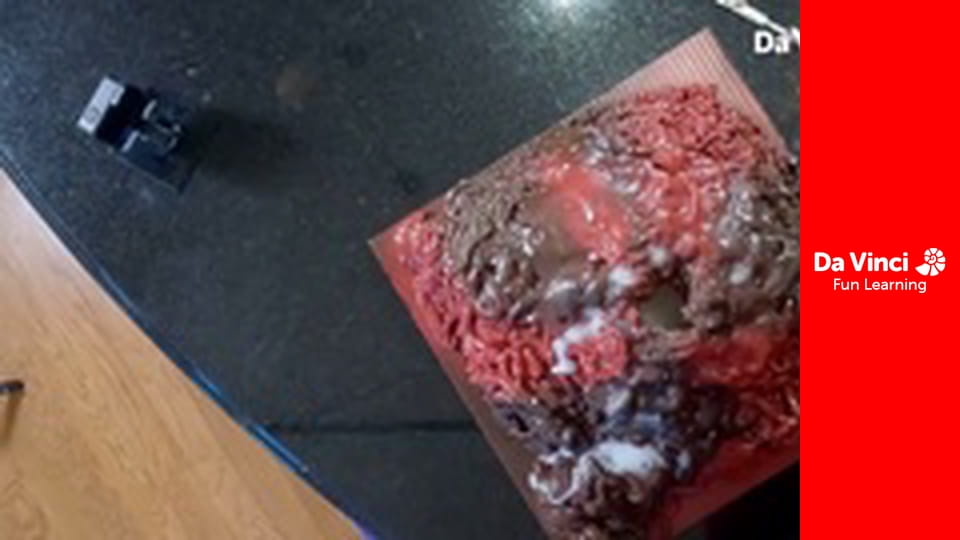 Исследование: «Наука на дому» - Научная ярмарка