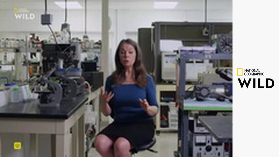 Построенный, чтобы выжить S1E5