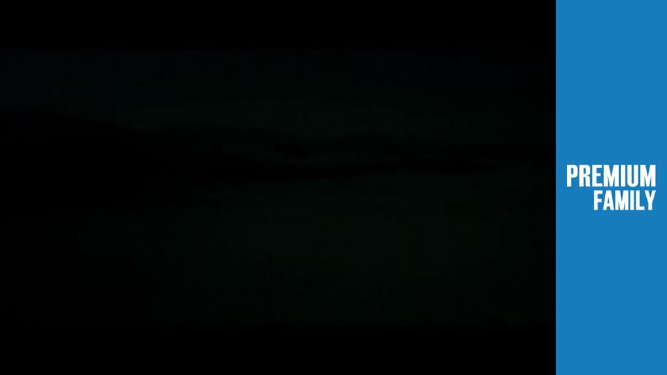 Підлітки-мутанти. Черепашки-ніндзя