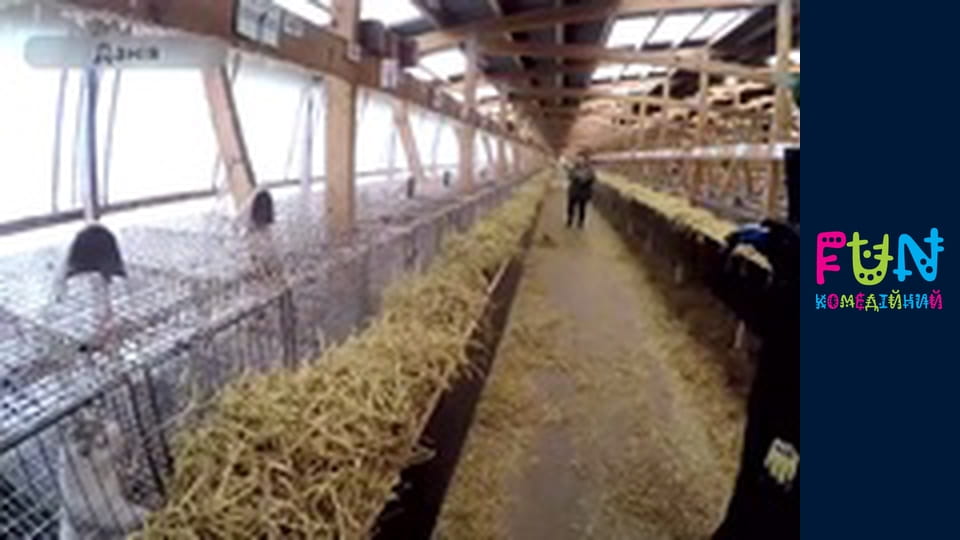 Заробітчани - Сезон 3 Випуск 56