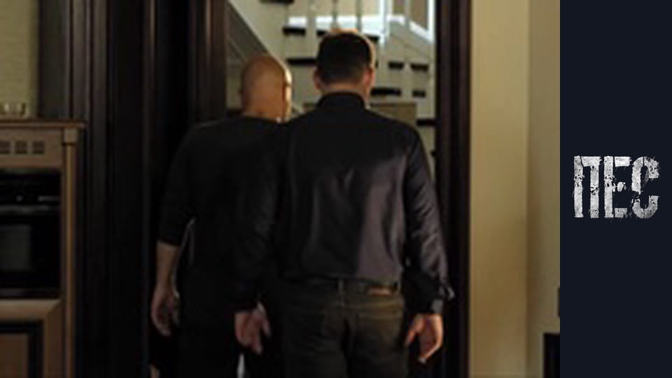 Пёс, Сезон 3, Серия 12