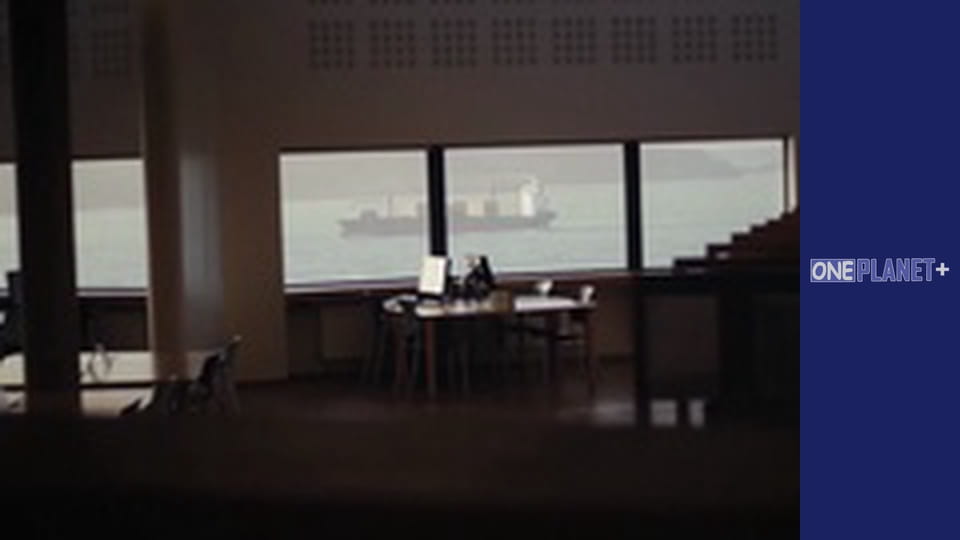 У пошуках знань. - серия 29