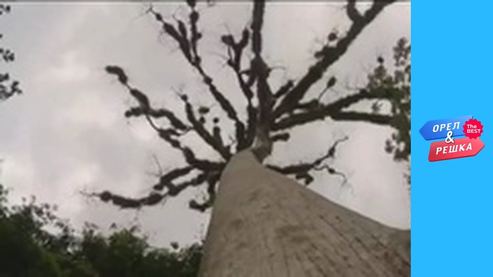 Golden Card, Issue 127