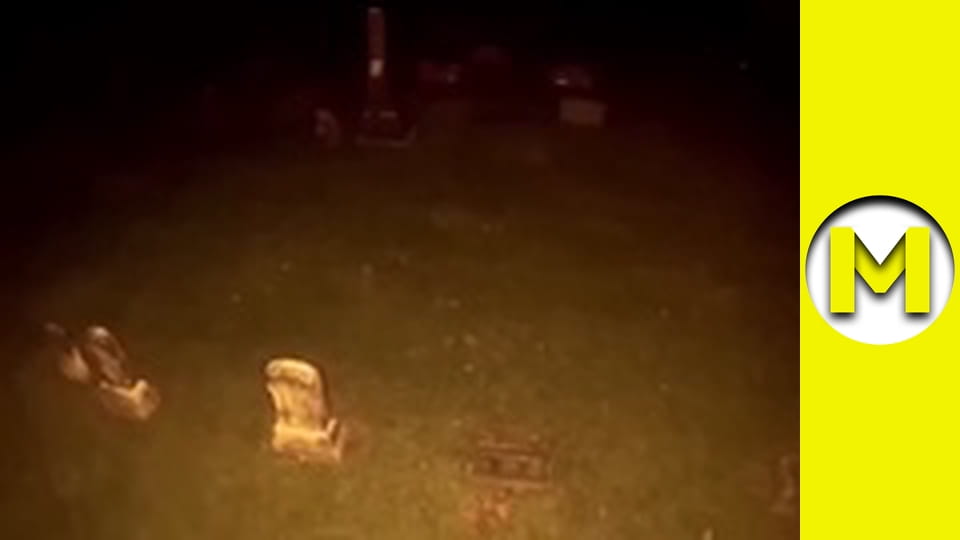 Max TV - сезон 2 - серія 47