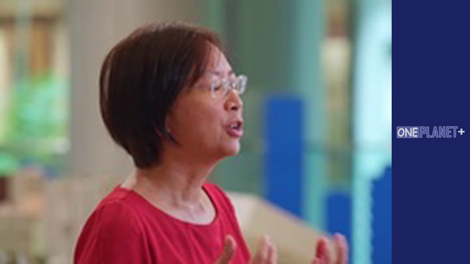 Оновлені Міста - cерия 3