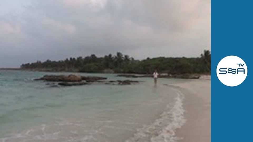 До дна - Рив'єра Майя