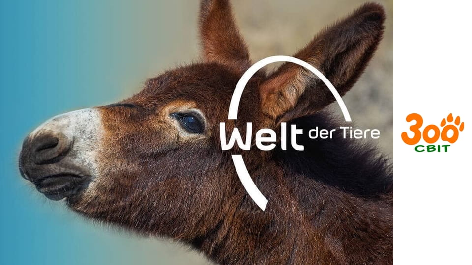 Боротьба за виживання - Чорні какаду Західної Австралії