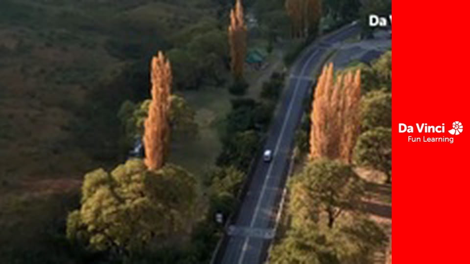 Сіяя - Рушайте з нами - Золоті ворота