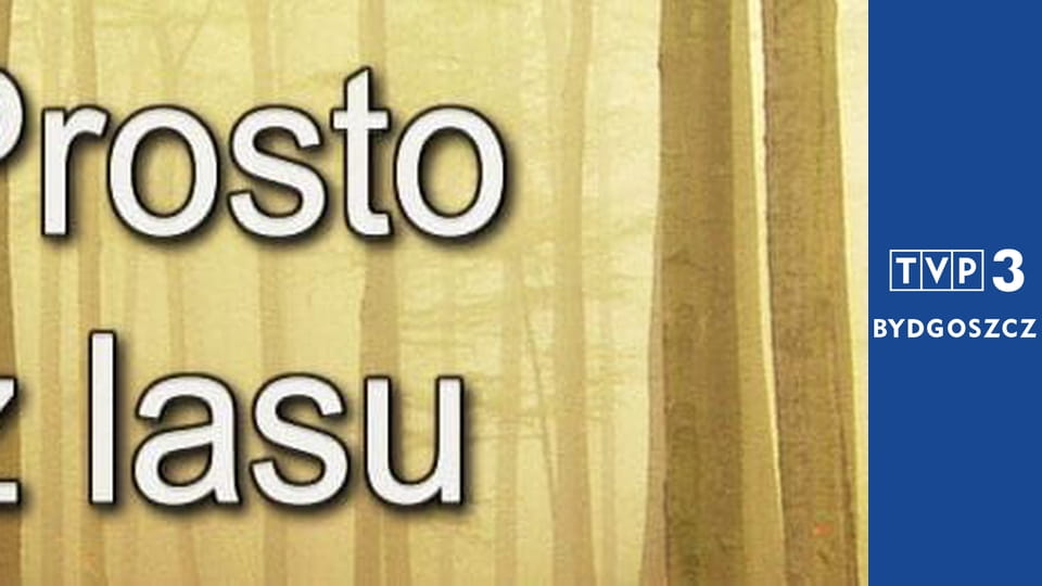Prosto z lasu