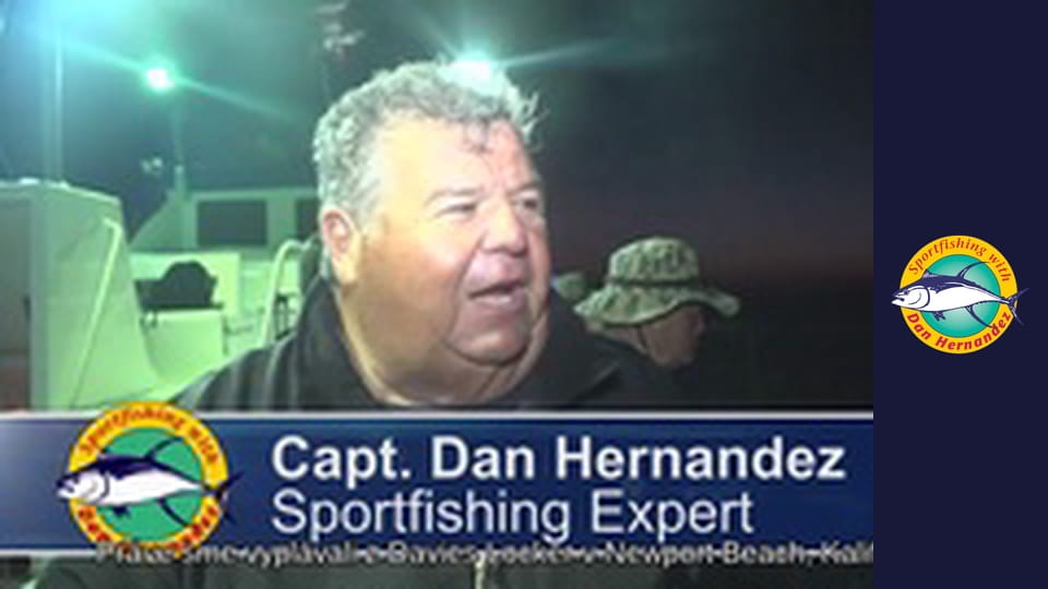 Freelance - Twilight