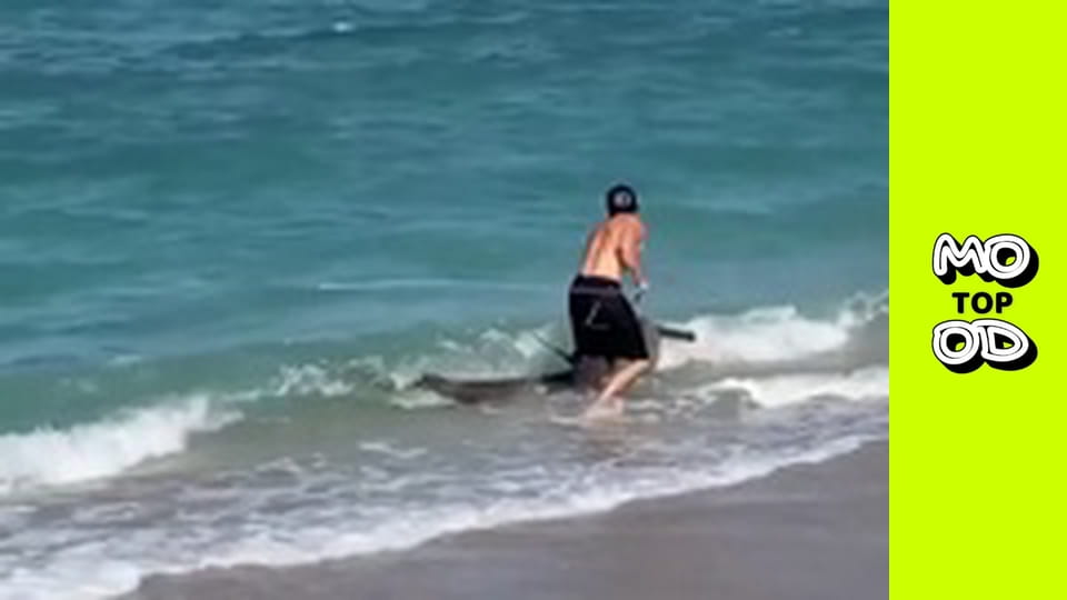 TopMood - Выпуск 66