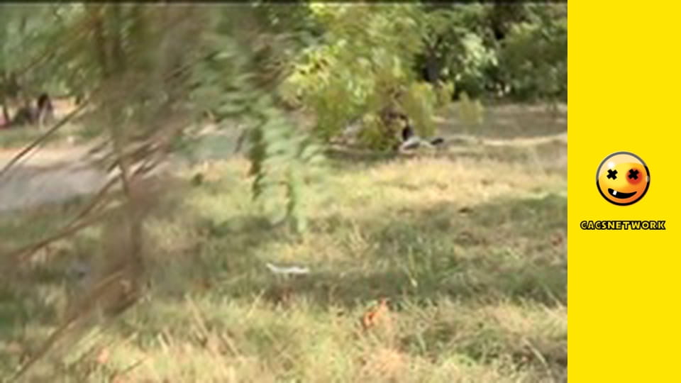 2Rude4UTube, 11 еп.