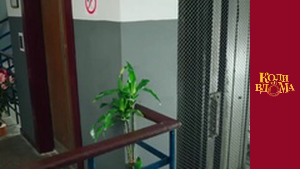 When we are at home - Season 2 Episode 49