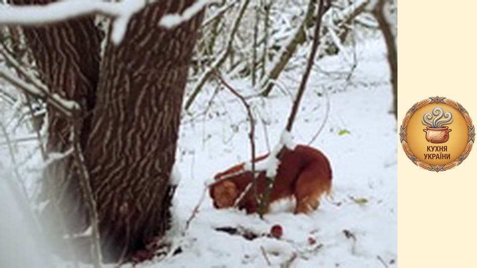 Dish of Honor Season 1 Episode 7 Part 3