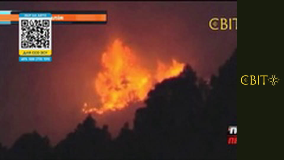 Месть природы, 1 сезон, 19 эп.