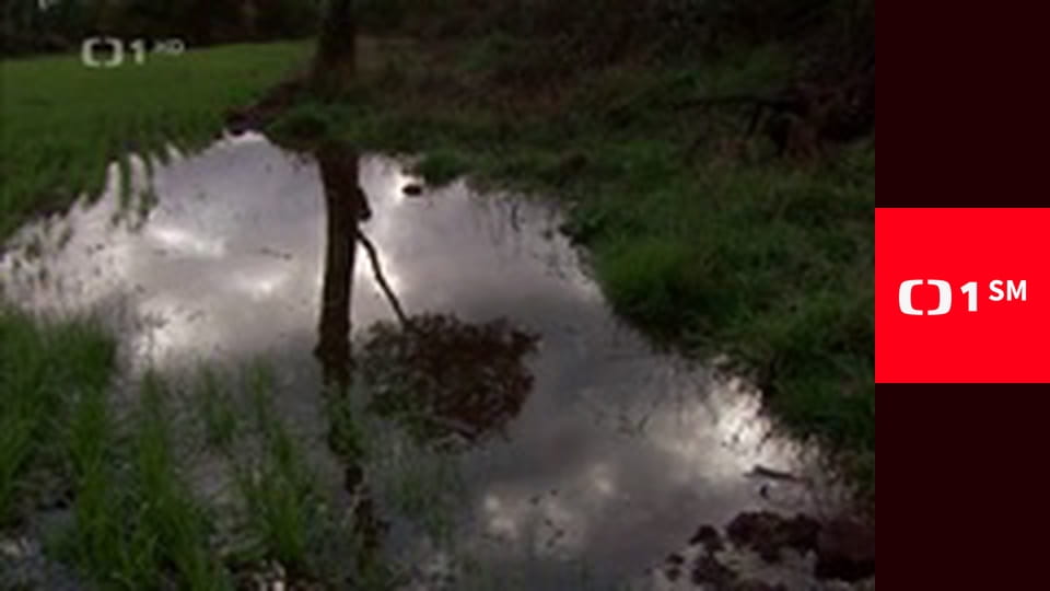 Na cestě - po Bretani