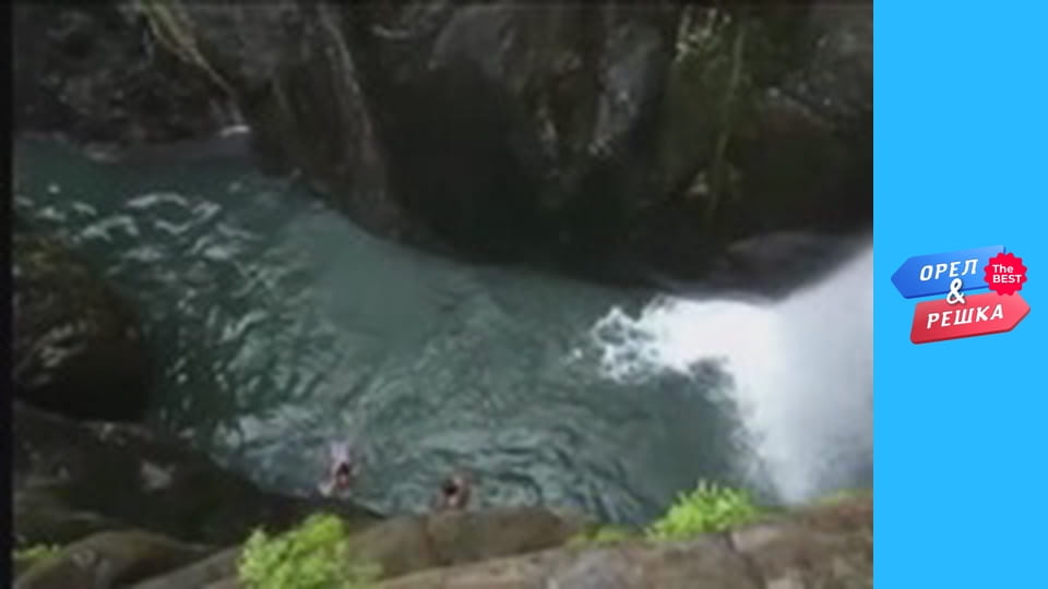 Golden Card, Issue 111