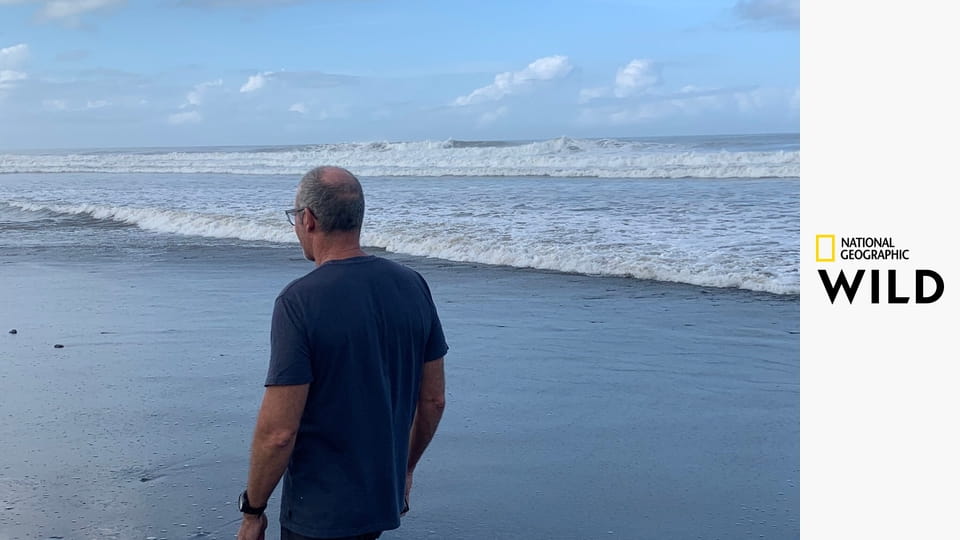 Когда акулы нападают... И почему S1E5 - Bitten in Bali