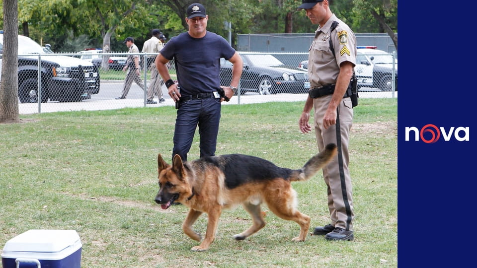 Kriminálka Las Vegas S14E6 - Štěstí ze zastavárny