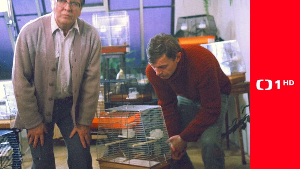 Sardinky, aneb život jedné rodinky