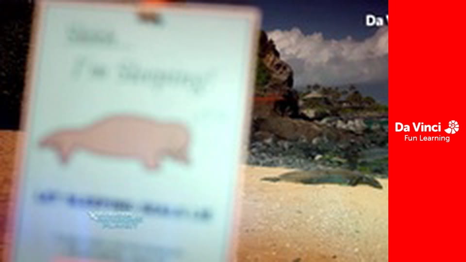 Дослідження: «Дивовижна планета» - Допомога