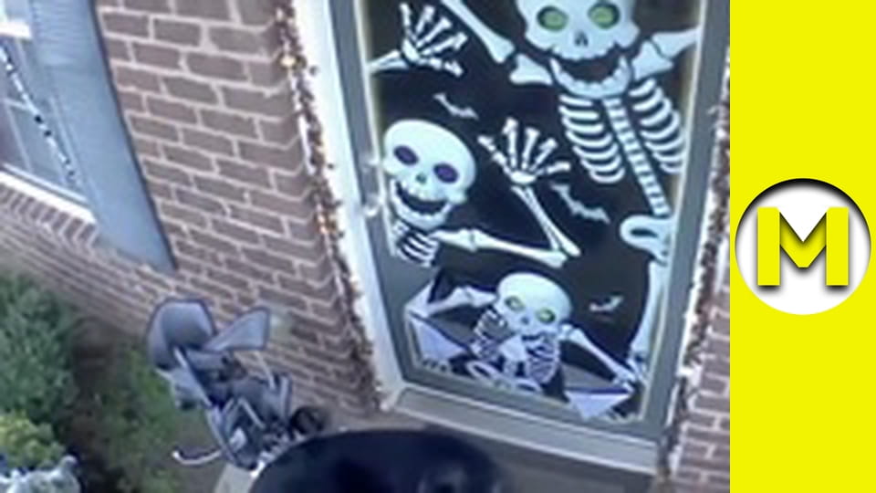 Max TV - сезон 1 - серія 84