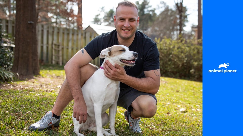 Hrdinové z The Dodo S1E1 - Pen a jeho váleční psi