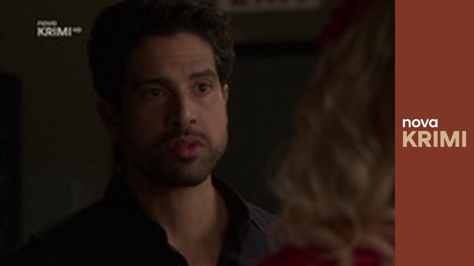 Myšlenky zločince S12E17