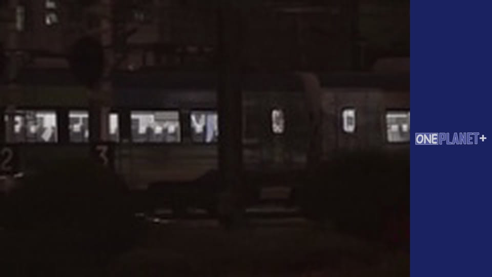 Железнодорожные истории - серия 5