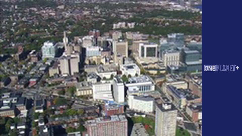 У пошуках знань. - серия 30