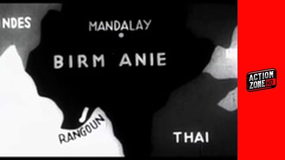 Ninja: Shadow of a Tear