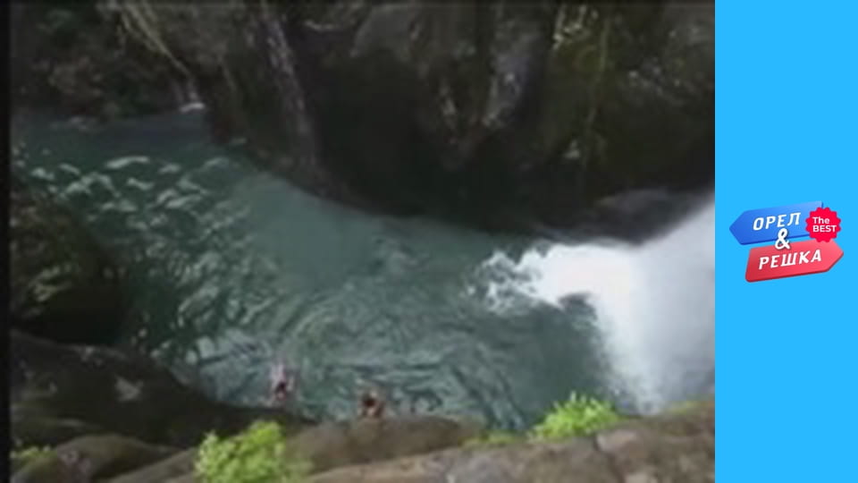 Golden Card, Issue 131